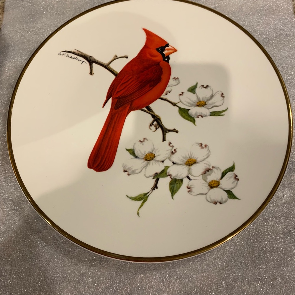 Cardinal North American Songbird plate Avon 1974. 10” approx VINTAGE